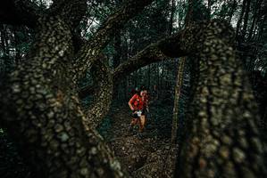 BIB: 
                            <button type="button" onclick="openModal(25691390)" class="btn btn-primary btn-sm float-right btn-popup" data-toggle="modal" data-target=".modal-high-quality">
                        <i class="fas fa-shopping-cart"></i> Add to Cart
                    </button>
                                            <button type="button" onclick="isThisMe(25691390, true)" class="btn btn-success btn-sm float-right btn-popup btn-isme hidden" data-toggle="tooltip" data-placement="bottom" title="นี่คือรูปของคุณใช่ไหม คลิกที่นี่เพื่อเอาเข้าอัลบั้ม">
                        <i class="fas fa-plus"></i> Add to album
                    </button>
                    <button type="button" onclick="isThisMe(25691390, false)" class="btn btn-warning btn-sm float-right btn-popup btn-isnotme hidden">
                        <i class="fas fa-ban"></i> Remove from album
                    </button>